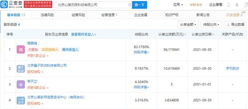 计算机软件咨询 助力企业数字化转型升级的智慧引擎