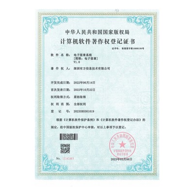 携手专业力量，驱动数字化转型——我们的计算机软件咨询服务