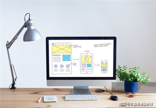 计算机软件考试报名指南与合格标准解析